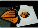 Saves the Day RARE 7