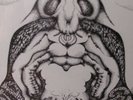 THE ANT TRIP CEREMONY   ACETATE   DARK ACID FOLK PSYCH
