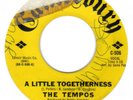NORTHERN SOUL THE TEMPOS  