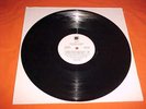 Wailing Souls  Shark Attack  Chaos LP  MINT-  PROMO