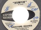 Backyard Heavies Chitlin' Strut Funk 45 Scepter BREAKS