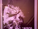 THE REPOS - ENDING ON A POSITIVE NOTE, LP Youth Attack