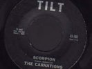 The Carnations 