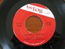 RARE POPCORN SOUL Johnny Wells LONELY MOON Astor 45