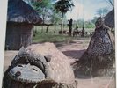 PAMA   AFRICAN MELODY   VARIOUS ARTISTES   PMP 2004