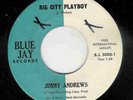 EXTRA RARE  NORTHERN SOUL JIMMY ANDREWS BLUE JAY LISTEN