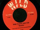 GIZZELLE - BABY PLEASE DON'T GO RnB Popcorn 45 MP3