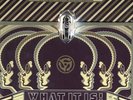 V.A. - WHAT IT IS FUNKY SOUL AND RARE GROOVES US 25x7