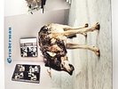 GRINDERMAN 2-LP/RECORD