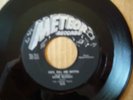 WAYNE McGINNIS--ROCK, ROLL AND RHYTHM (Rockabilly)