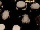 Looking On Move vinyl record LP UK FLY1 FLY RECORDS