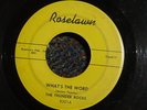 THE THUNDER ROCKS What's The Word ROCKABILLY 45 *LISTEN