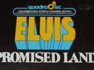 Elvis 