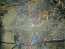 PAUL McCARTNEY WINGS 1972 Wild Life MONO LP BRAZIL