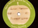 RARE DEMO Rock Acetate - GEORGE HARRISON  My Sweet Lord