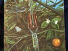 Dragonfly Gatefold Original pressing RARE psyche NM Lp