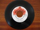 RARE MODERN SOUL Indigos REST OF MY DAYS Wildfire 45