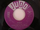 Tommy Roe & the Satins 45  