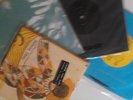 Four Neutral Milk Hotel 45's