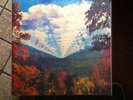 Tame Impala - Innerspeaker NM OOP