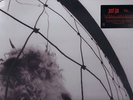 Pearl Jam vs. 180 Gram Vinyl Edition Audiophile