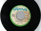 ROOTS  ROCKERS  REGGAE  by    JUNIOR  MERVIN     LISTEN