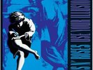 GUNS N' ROSES   USE YOUR ILLUSION II   VINYL   2  LP