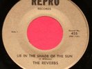 THE REVERBS 