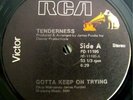 * TENDERNESS Gotta Keep On Trying RARE DISCO SOUL RCA ?