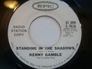 KENNY GAMBLE - Standing In The Shadows - EPIC DEMO
