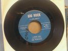 THE WORLOCKS RARE 1965 I LOVE YOU US GARAGE BIG ROCK 45