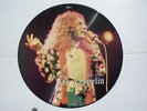 LED ZEPPELIN - PICTURE DISC LP - BEAUTIFUL AND SCARCE