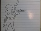 Tortoise - TNT 2lps NM Thrill Jockey
