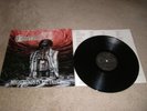 Comecon Megatrends in Brutality 1PRESS LP dismember