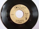 Steve Ellis and the Starfires MN 60s Rare Single