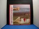 MATTHEW WILDER I DON'T SPEAK THE LANGUAGE JAPAN