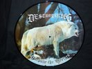 DESTRÖYER 666  Unchain The Wolves   PIC LP  Lim.500