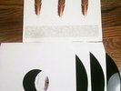 THE APPLESEED CAST - LOW LEVEL OWL: VOLUMES I+II   3XLP