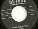 COUNTRY BLUES 45 by THE ROUSE BROTHERS HEAR IT