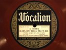 HAYES OLD SOUTHERN JUG BAND VOCALION 14958 JAZZ 78RPM E