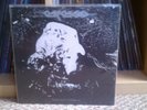 CARCASS-SYMPHONIES OF SICKNESS LP