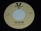 VHTF Ultra-Rare Neil Young Squires V-109 Sultan/Aurora