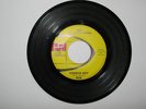 Al and the Untouchables RARE garage punk bftg surf