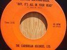 Royal Enterprise / In Your Head 45 RARE psych fuzz HEAR