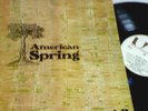 American Spring ORIG '72 UK U.A LP beach boys   EXC
