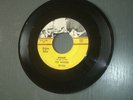 ROCKER 45 RPM - THE WAILERS -  WAILIN' - GOLDEN CREST