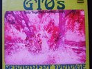 '69 The GTO's Psych LP 