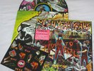 Yeah Yeah Yeahs Fever To Tell Picture Disc LP Record