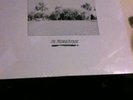 OEDIPUS SCREAM NEW WAVE GOTH LP PRIVATE PRESSING RARE