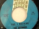 45rpm Juveniles-Yes I Believe & Bo Diddley
